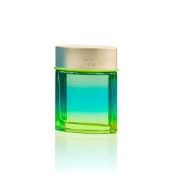 Eau de Toilette TOUS Man Chill 100 ml