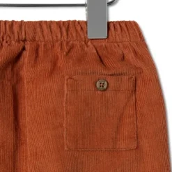 Conjunto de menino Ursos multicolor Grey cor crua