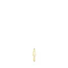 Piercing de orelha TOUS Basics com urso em ouro